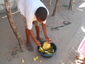 A Mozambican teenager peeling a pineapple in the market. Photo by Jamil Khan for UCOF